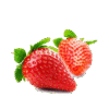 Fresh Strawberry