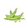 Organic Peas