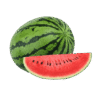 Watermelon Plant